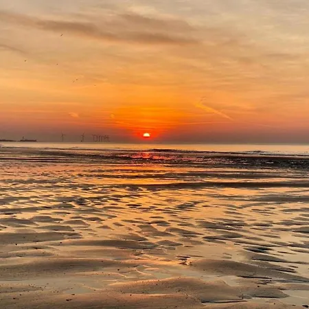 アパート Spacious Seaside