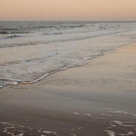 Διαμέρισμα Spacious Seaside Knokke-Heist