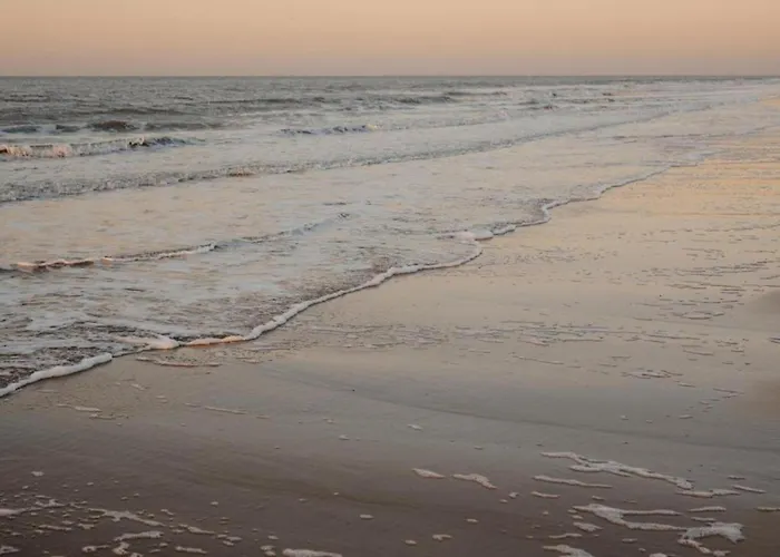 Appartamento Spacious Seaside Knokke-Heist