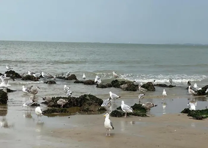 Appartamento Spacious Seaside