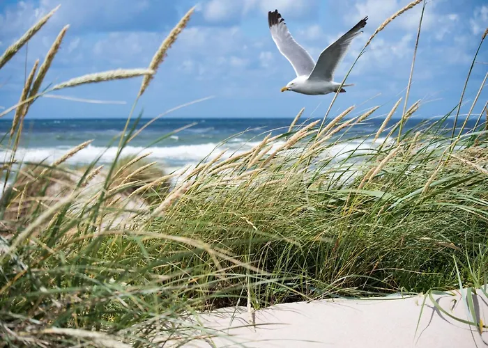 Spacious Seaside Appartamento Knokke-Heist